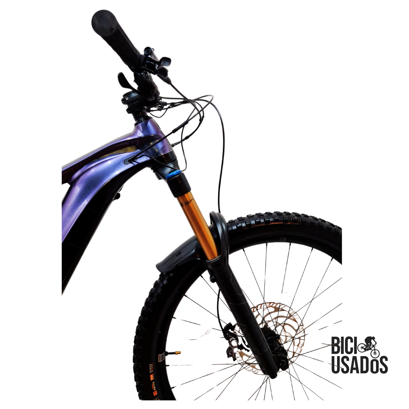 Giant - Reign E+1 (2024)