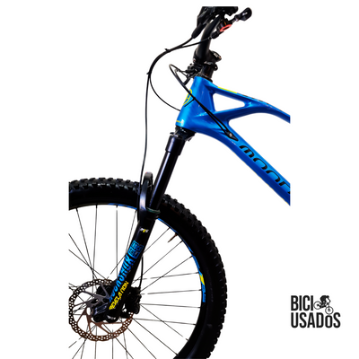 Foxy Carbon (2018)