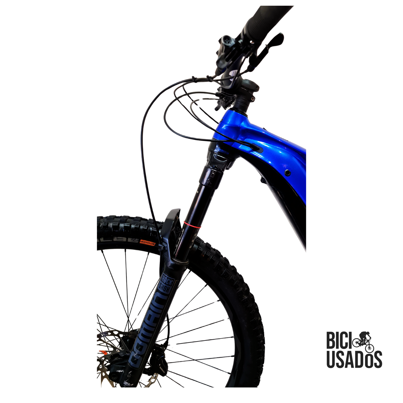 Giant - Reign E+3 (2024)