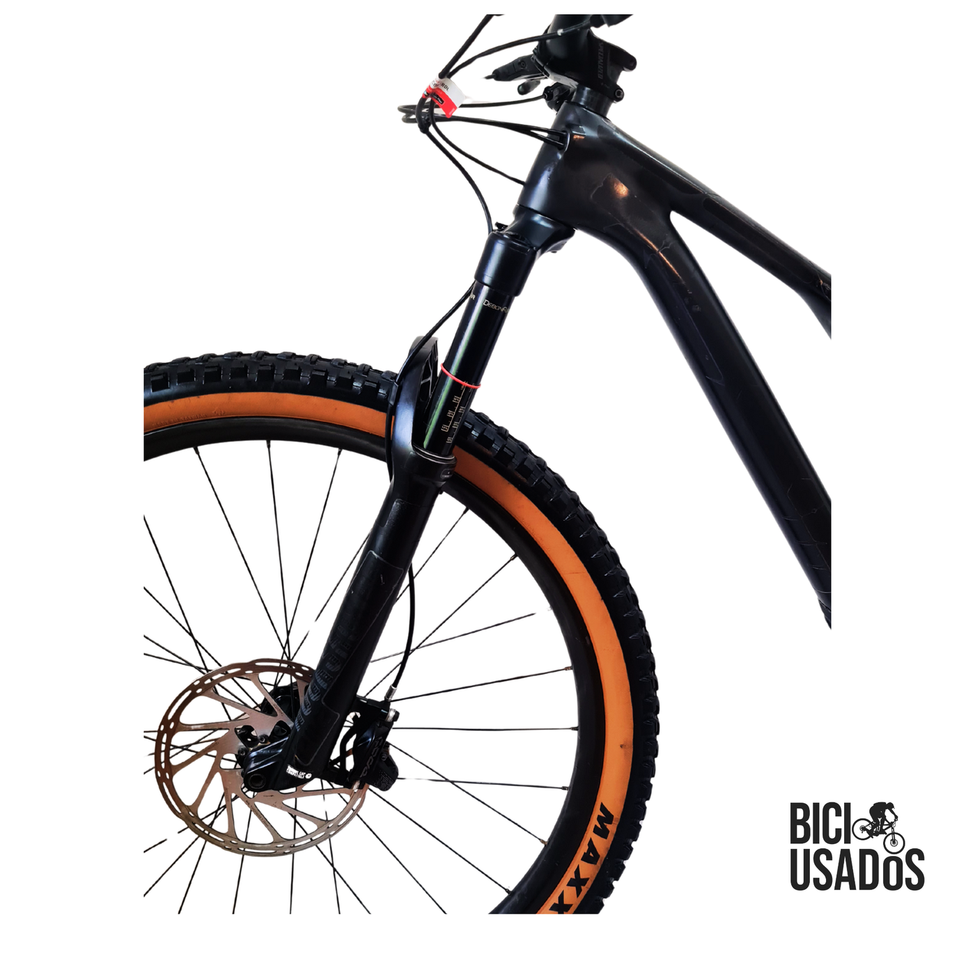 Stumpjumper ST Expert Carbon (2019)