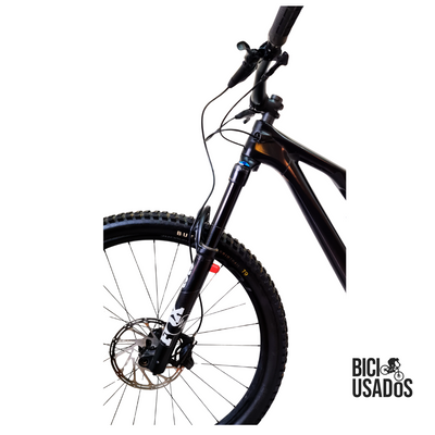 Stumpjumper EVO Expert Carbon (2024)