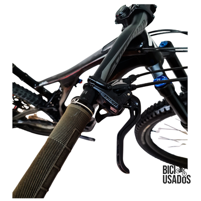 Turbo Levo SL Expert Carbon (2020)