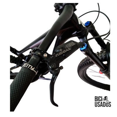 Stumpjumper EVO Expert Carbon (2024)