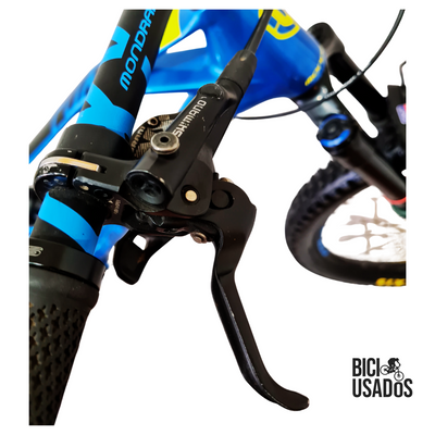 Foxy Carbon (2018)