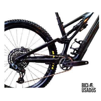 Stumpjumper EVO Expert Carbon (2024)