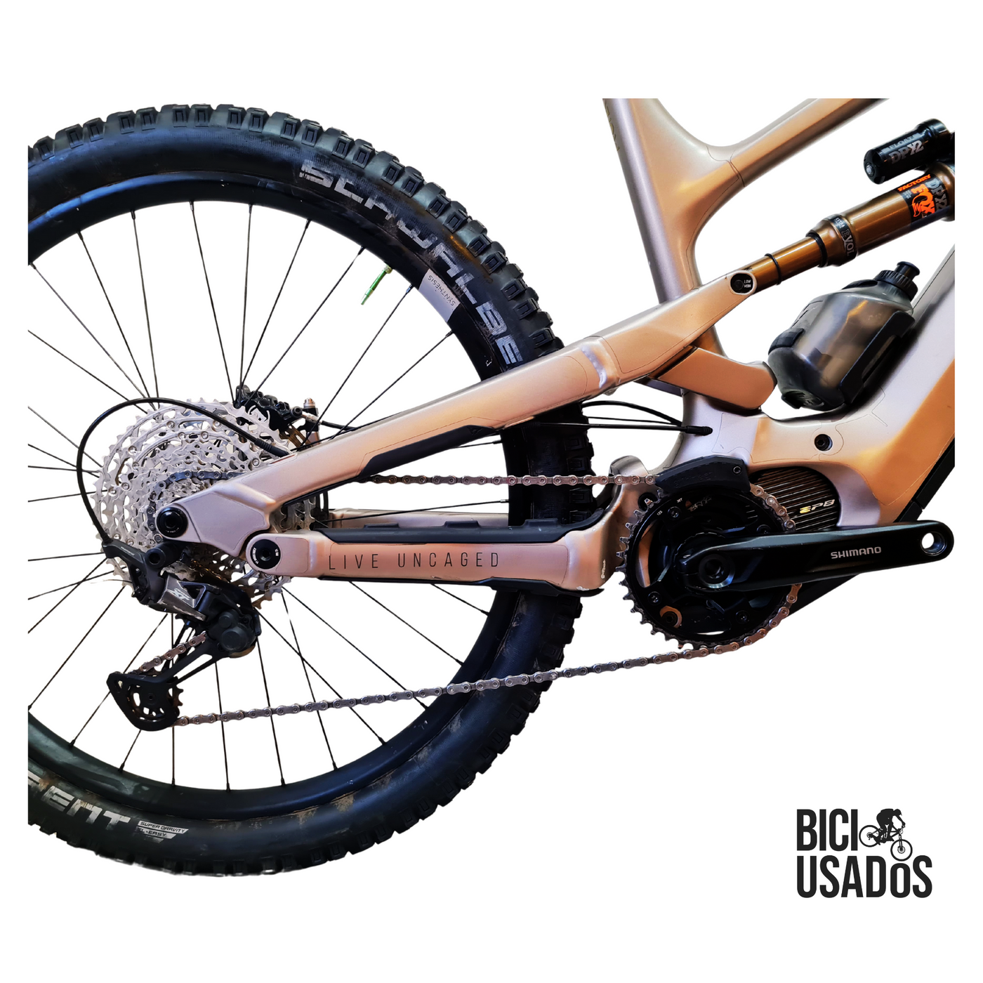 Decoy MX Core 2 (2023)