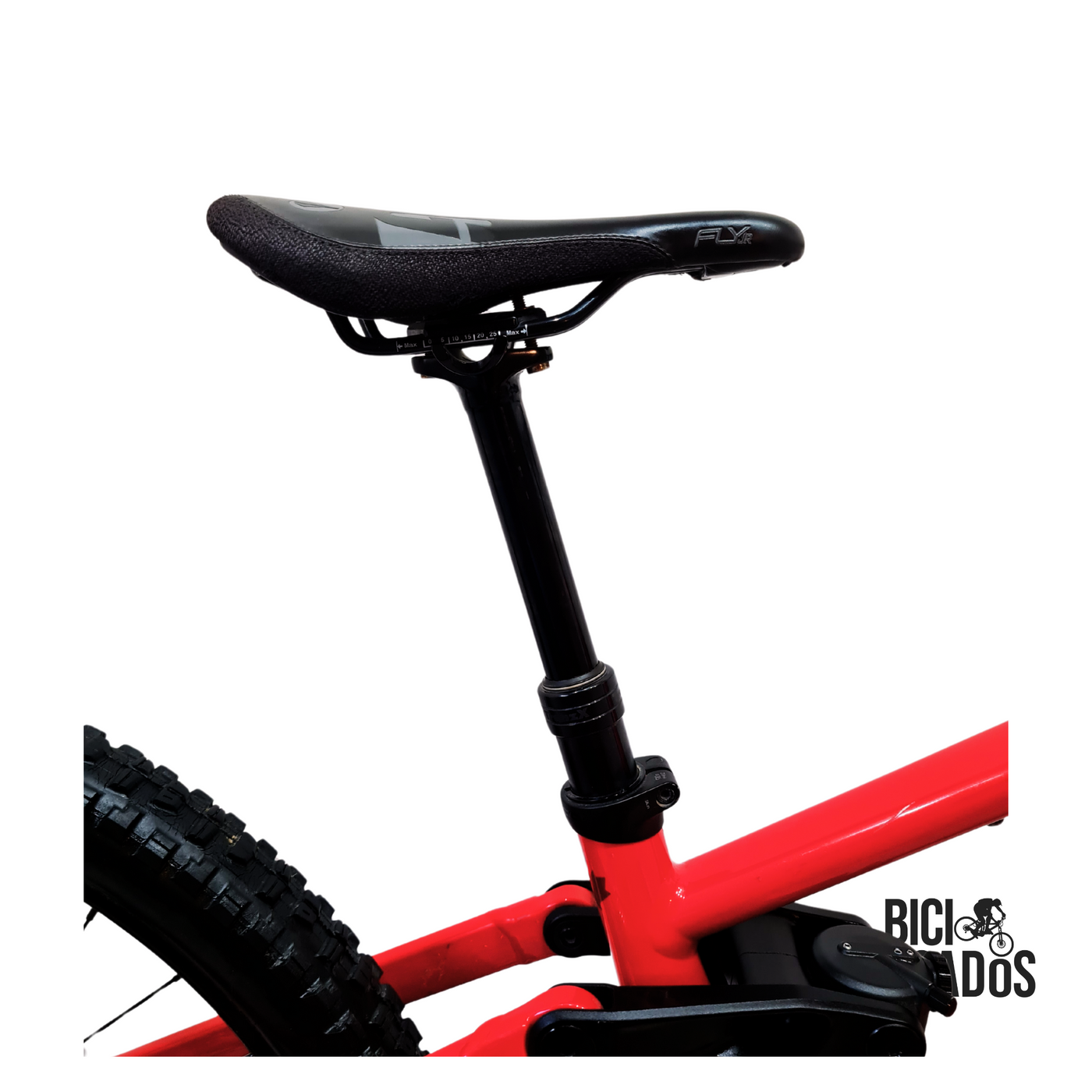 Norco – Sight Youth (2021)