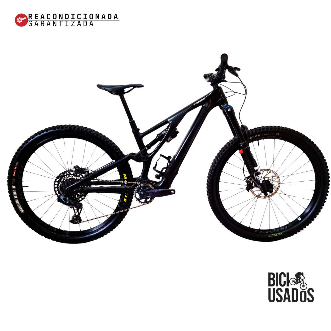 Stumpjumper EVO Expert Carbon (2024)