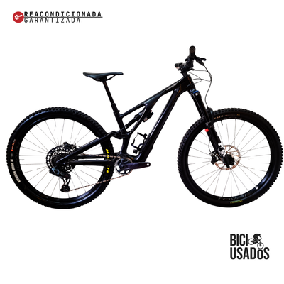 Stumpjumper EVO Expert Carbon (2024)