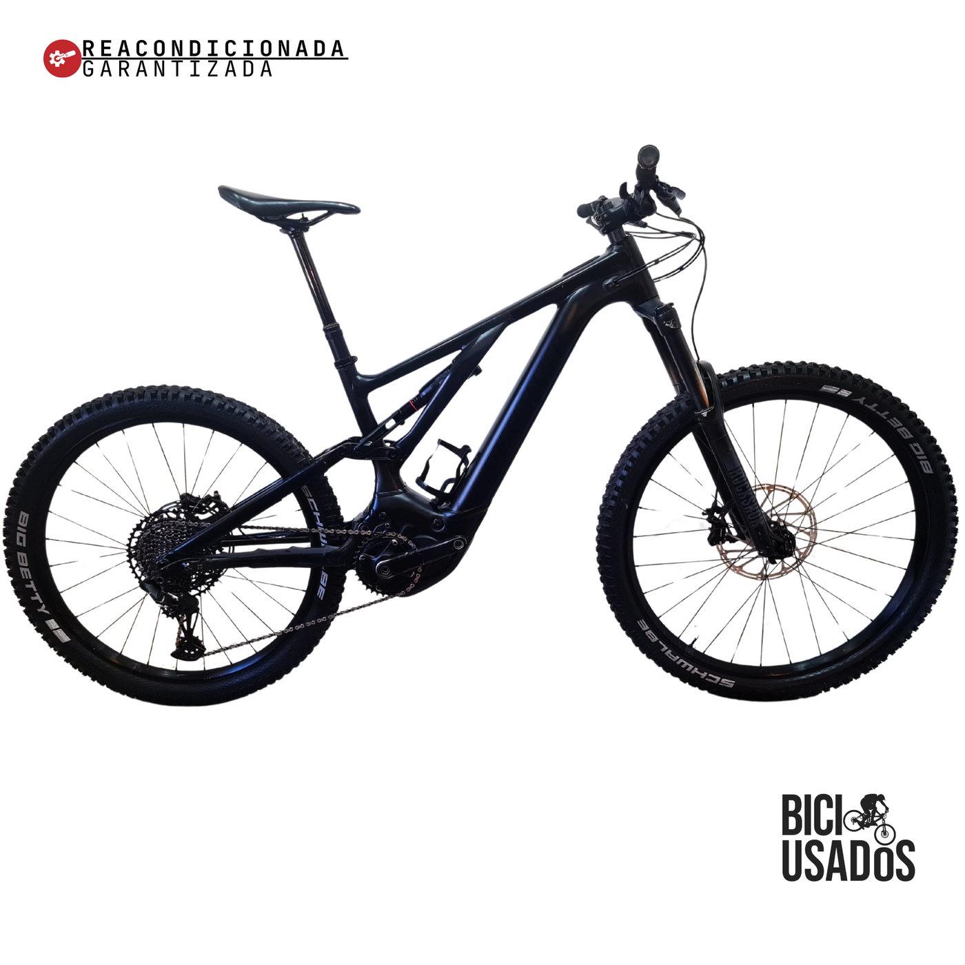 Turbo Levo Alloy (2023)