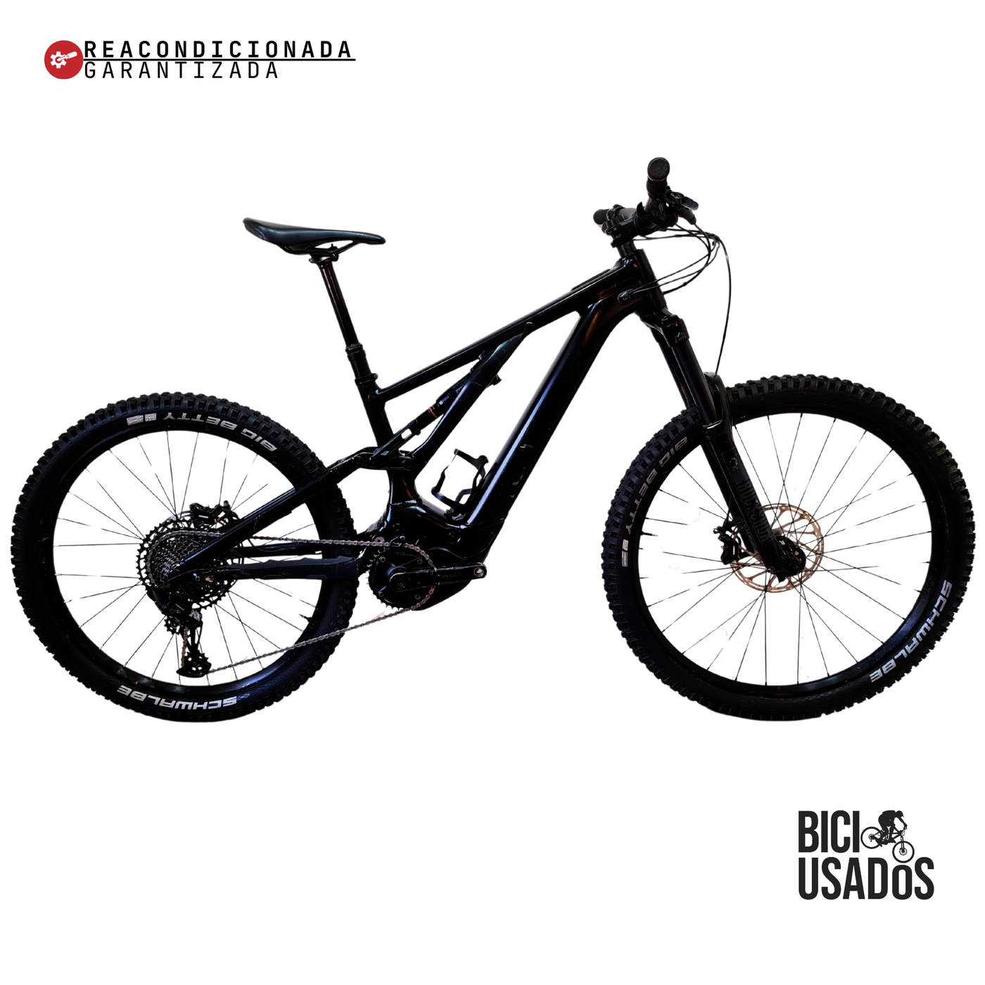 Turbo Levo Alloy (2023)