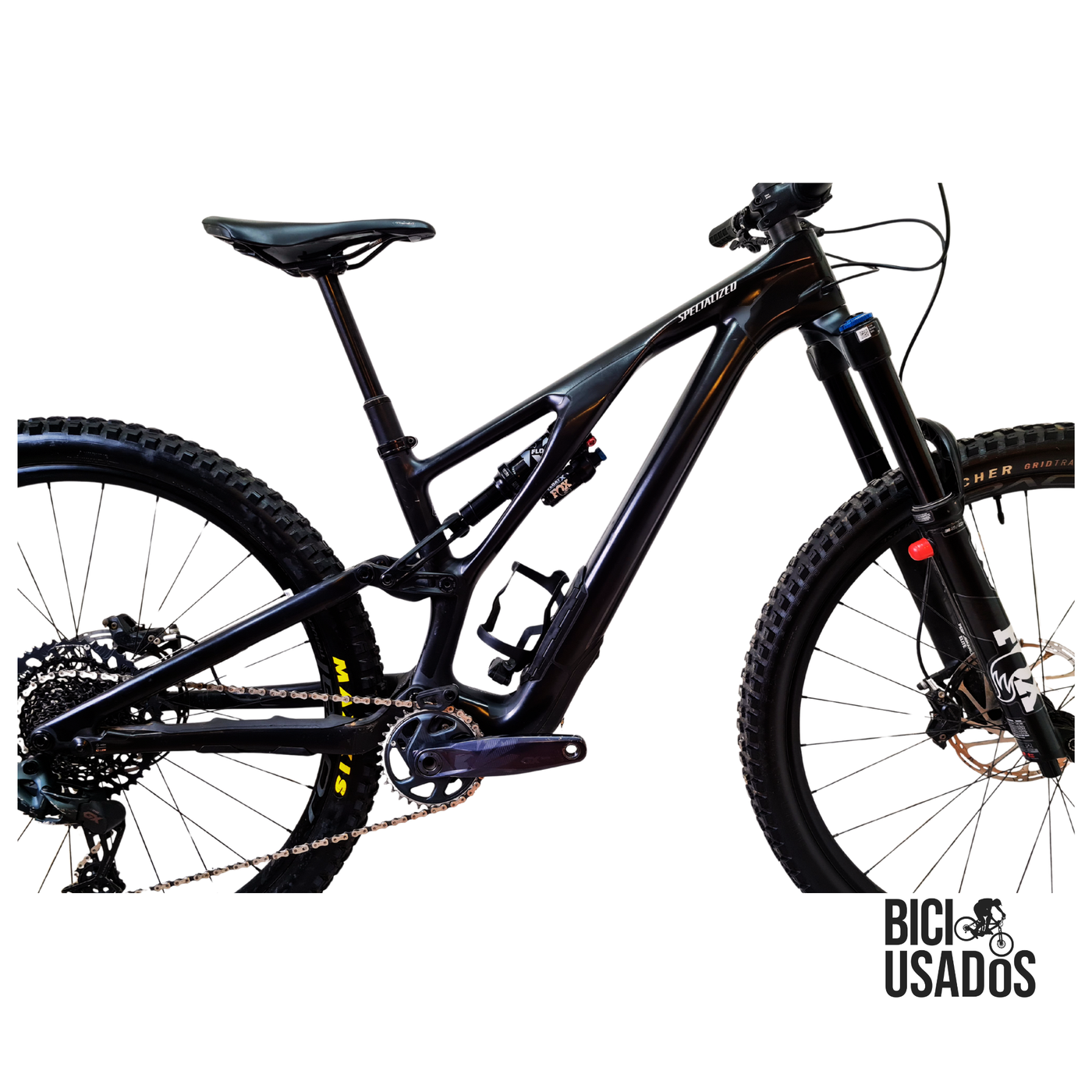 Stumpjumper EVO Expert Carbon (2024)