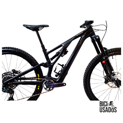 Stumpjumper EVO Expert Carbon (2024)