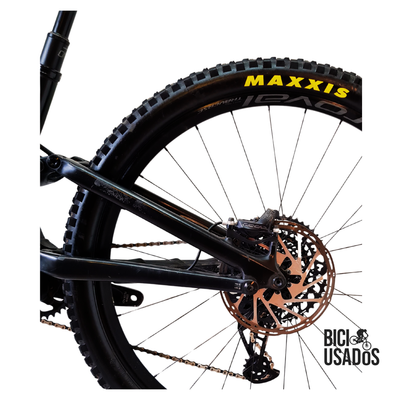 Stumpjumper EVO Expert Carbon (2024)