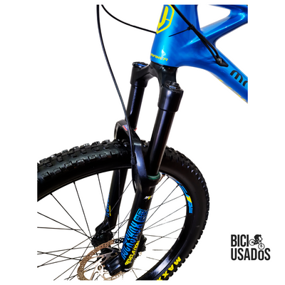 Foxy Carbon (2018)