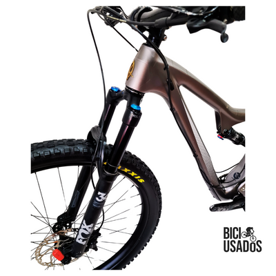 Ibis – Ripley LS (2020)