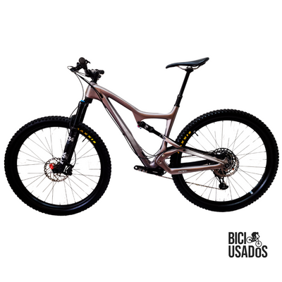 Ibis – Ripley LS (2020)