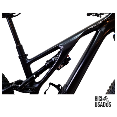 Stumpjumper EVO Expert Carbon (2024)
