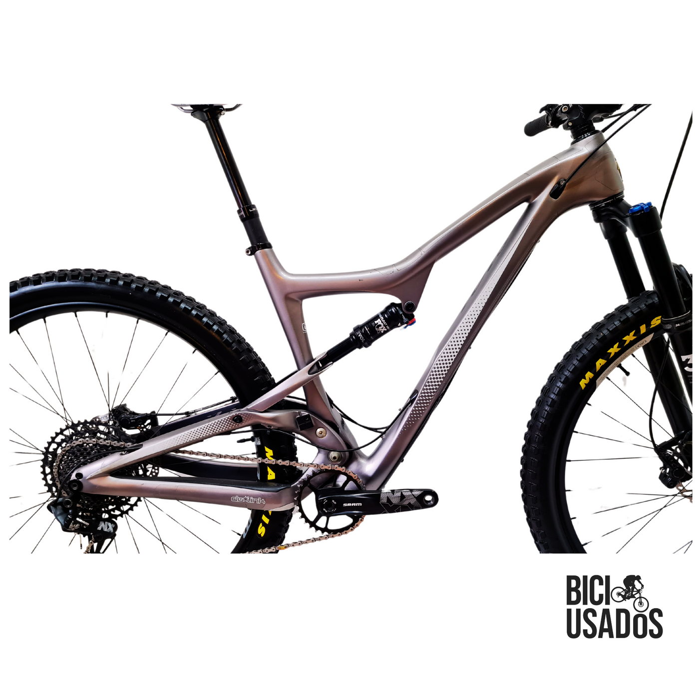Ibis – Ripley LS (2020)