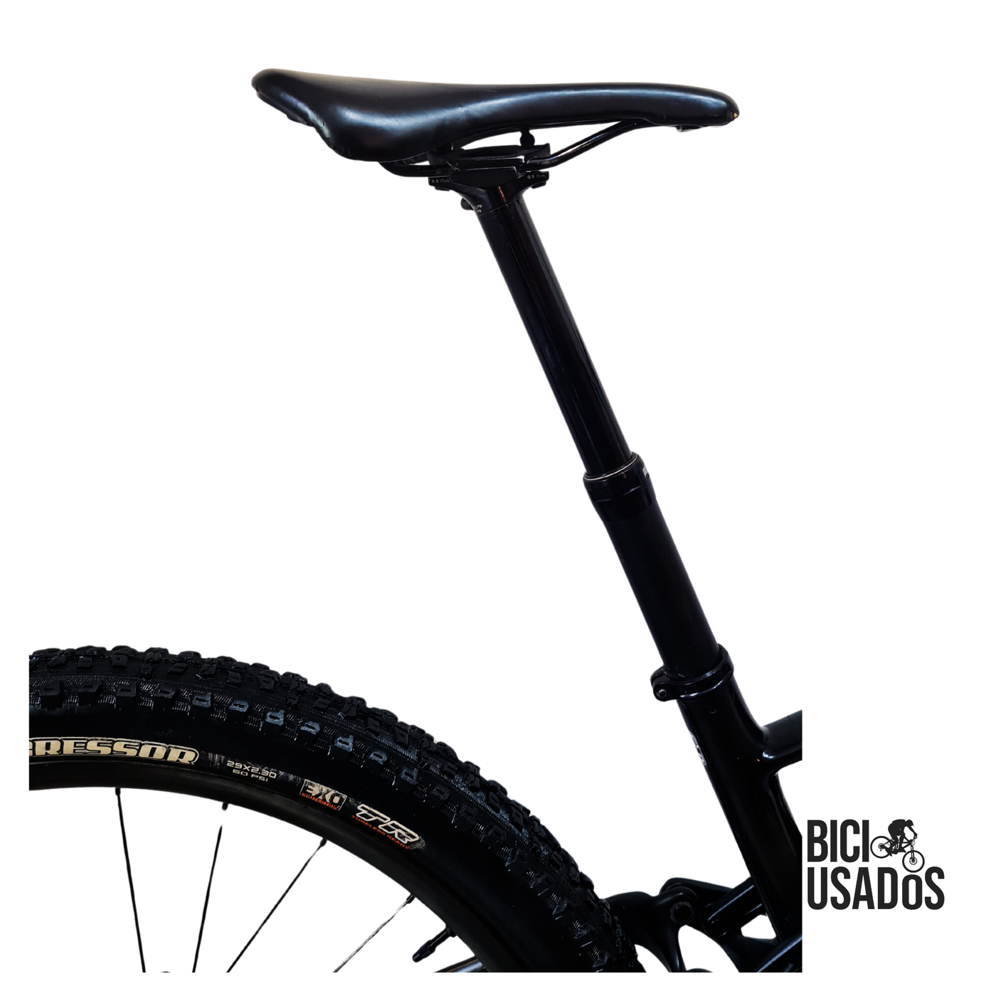 Stumpjumper ST Expert Carbon (2019)