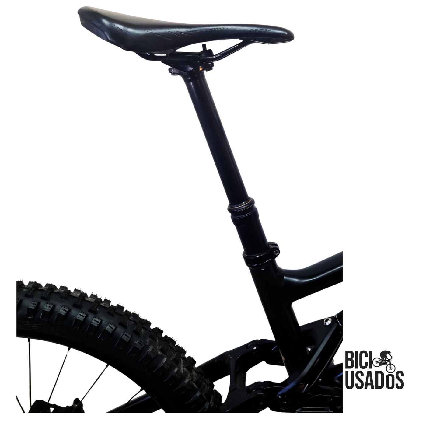 Turbo Levo Alloy (2023)