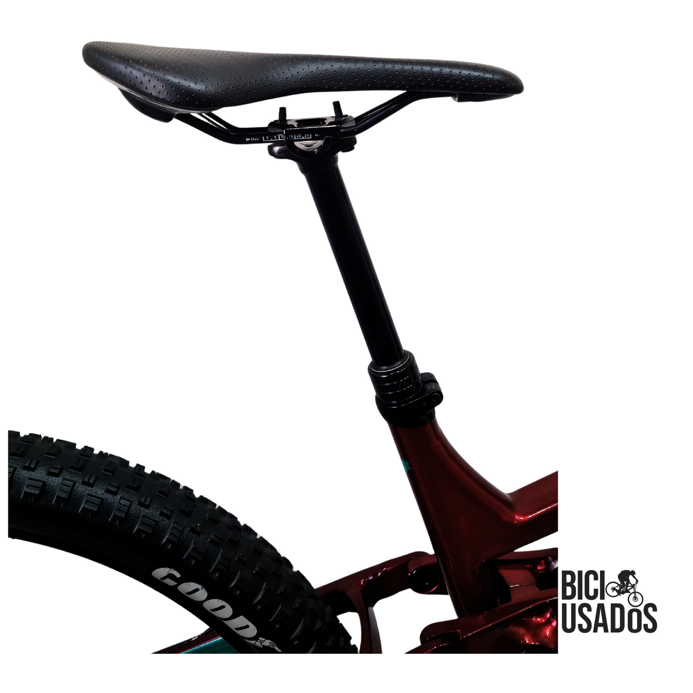 Fluid FS3 (2021)