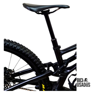 Stumpjumper EVO Expert Carbon (2024)