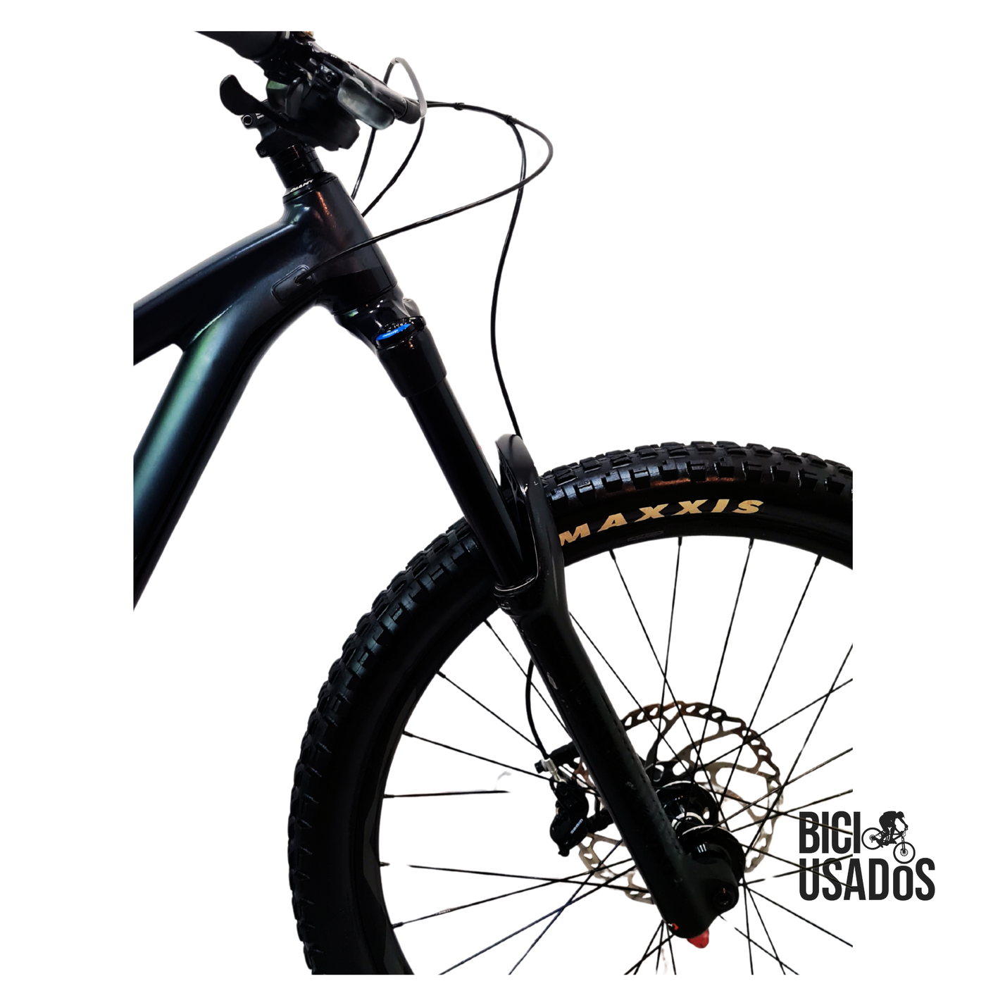 Giant - Reign 2 (2019)