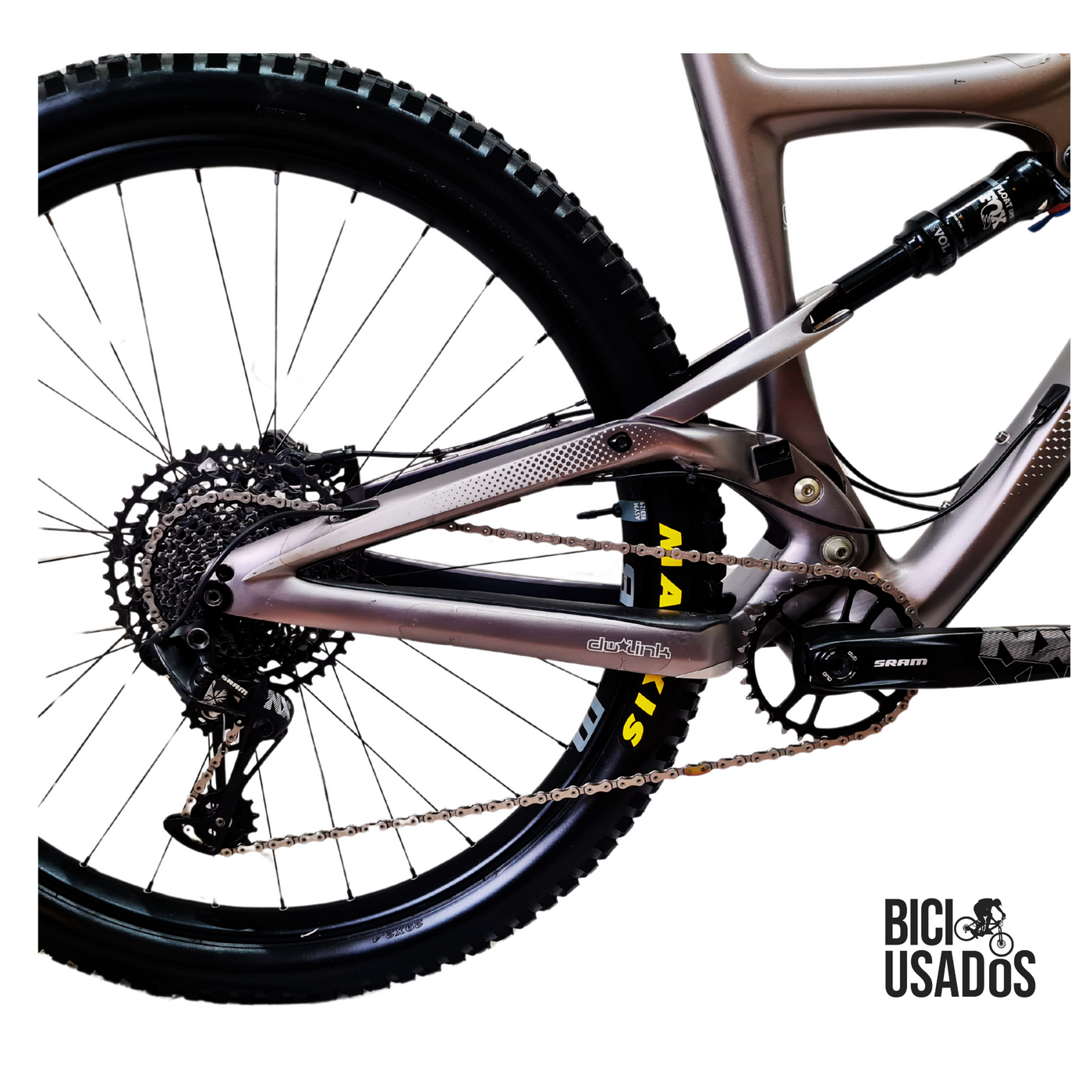 Ibis – Ripley LS (2020)