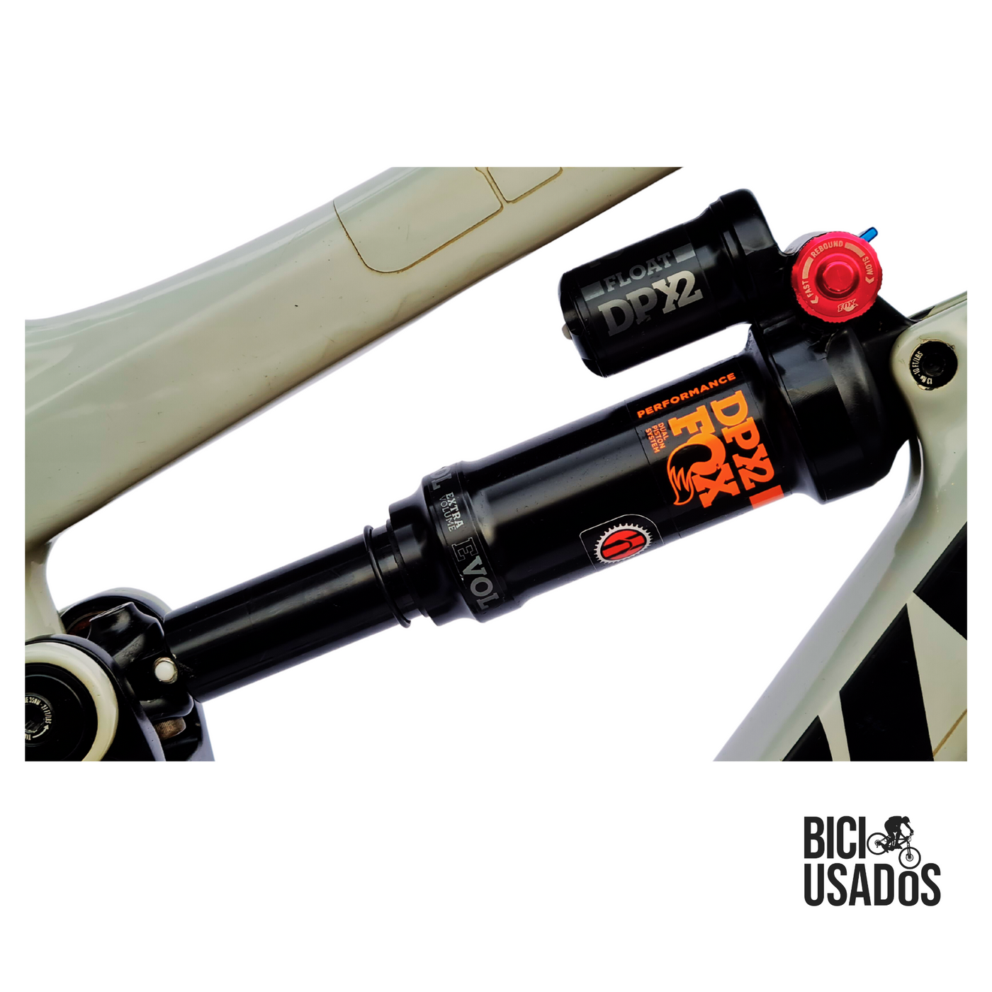 Pivot – Firebird Carbon 29 (2020)