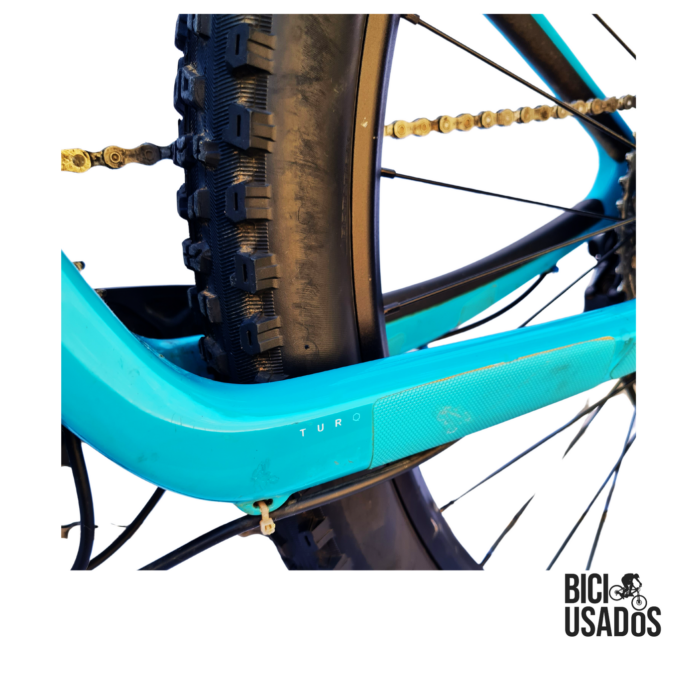 Yeti - ASR Turq Series (2018)